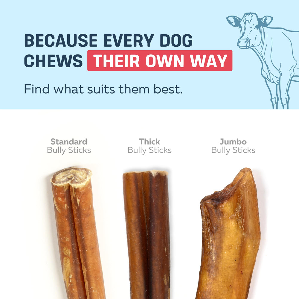 Big Lu single-ingredient bully sticks — healthy alternative with no grains or additives