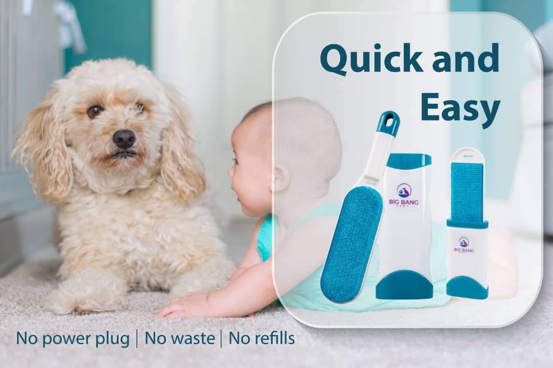 Big Bang Paws lifetime guarantee backs your purchase.