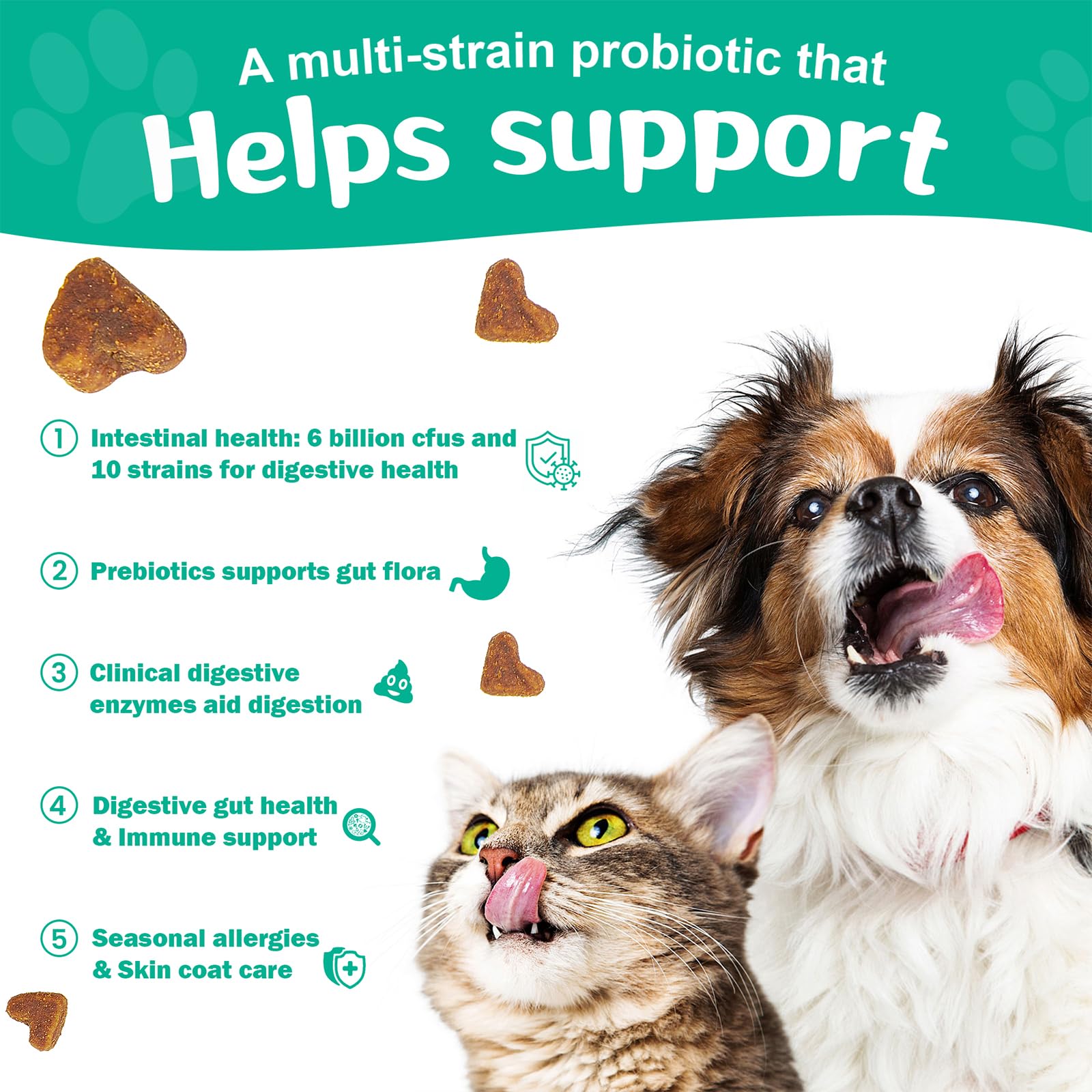 BIGHERO Probiotics bottle pour showing easy serving routine for pets