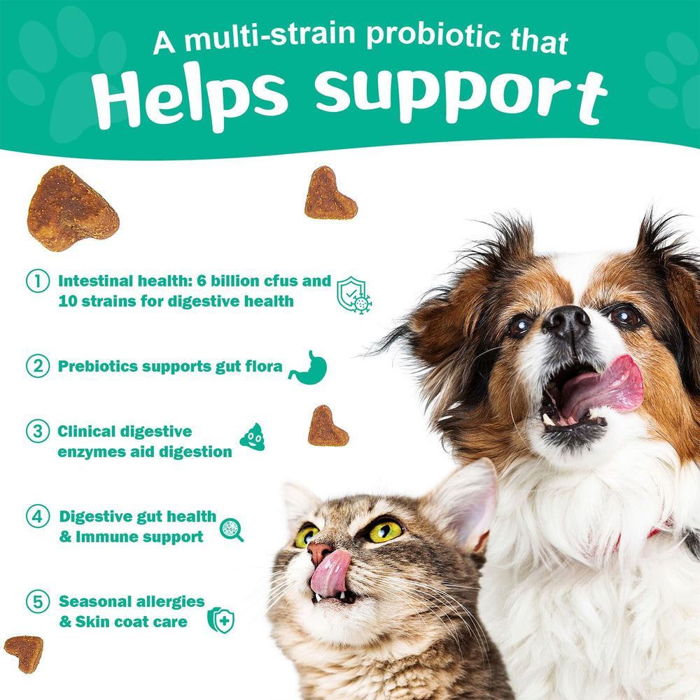 BIGHERO Probiotics bottle pour showing easy serving routine for pets