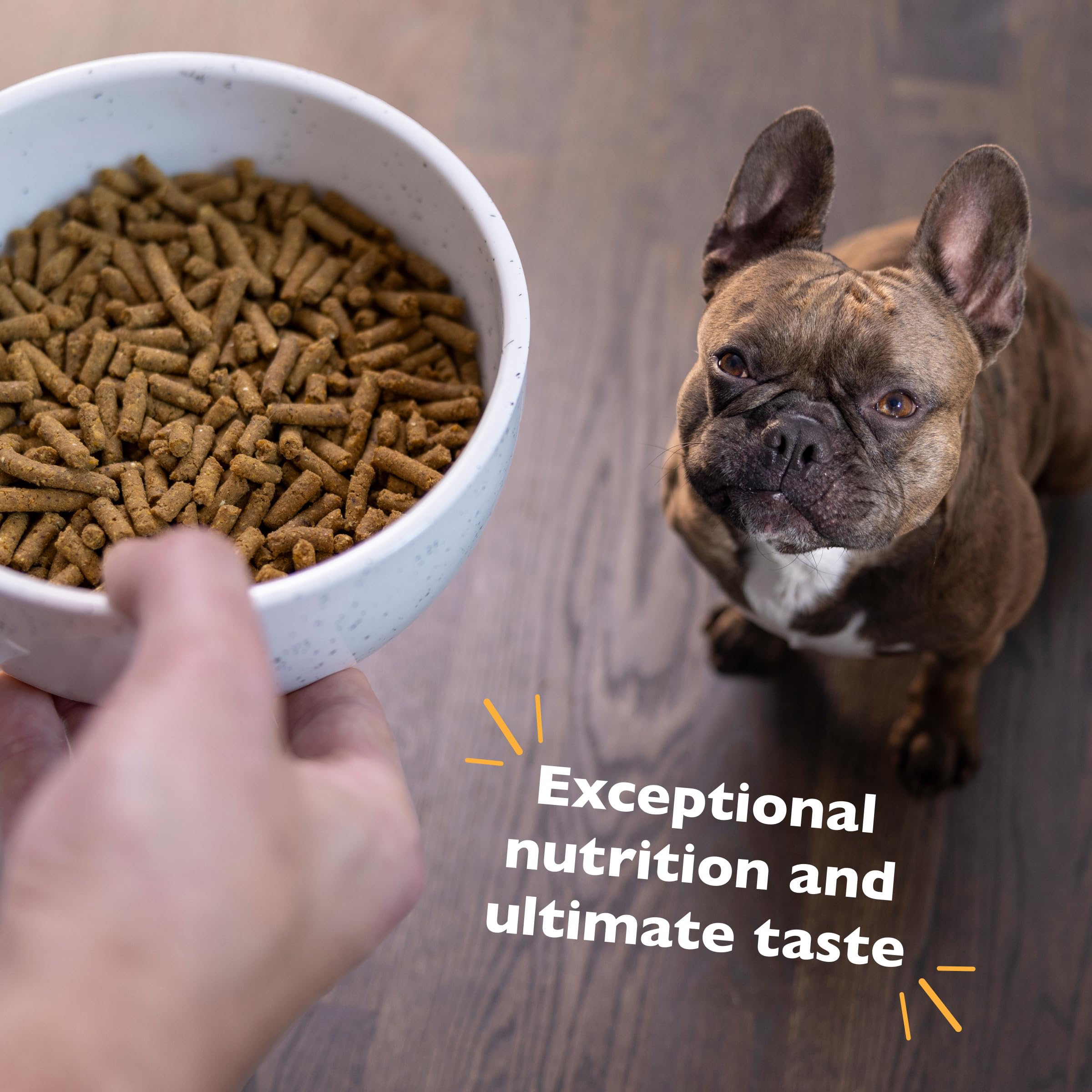 Fresh chicken first ingredient featured in Bil-Jac kibble for flavor