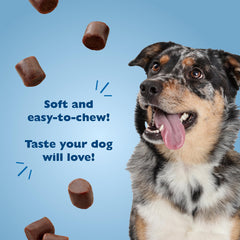 Training moment with Bil-Jac PB-Nanas soft treats.