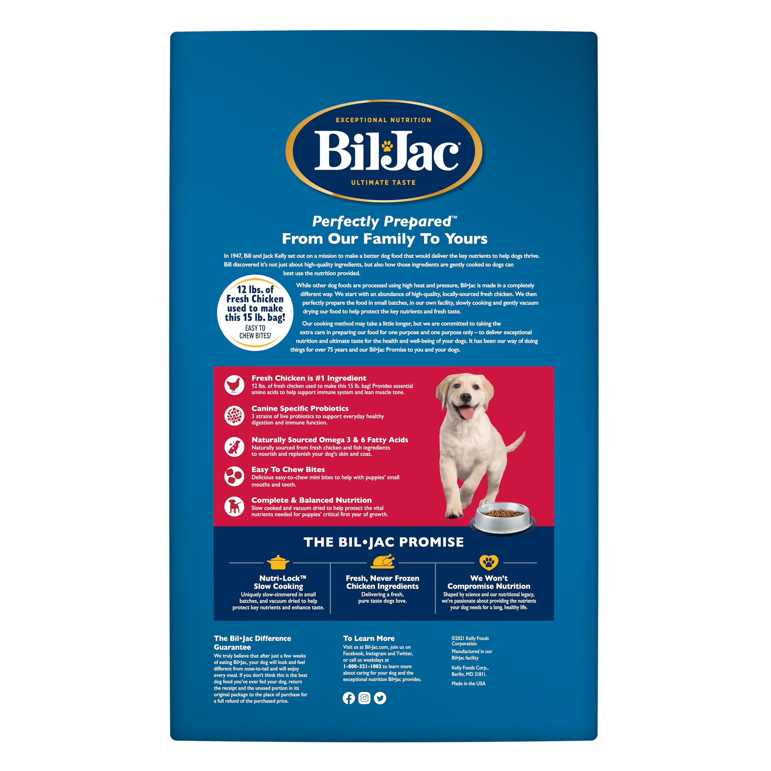 Close-up of Bil-Jac kibble from Puppy Select showing texture for gentle digestion.