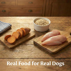Bil-Jac small breed mealtime serving bowl eases feeding for tiny dogs