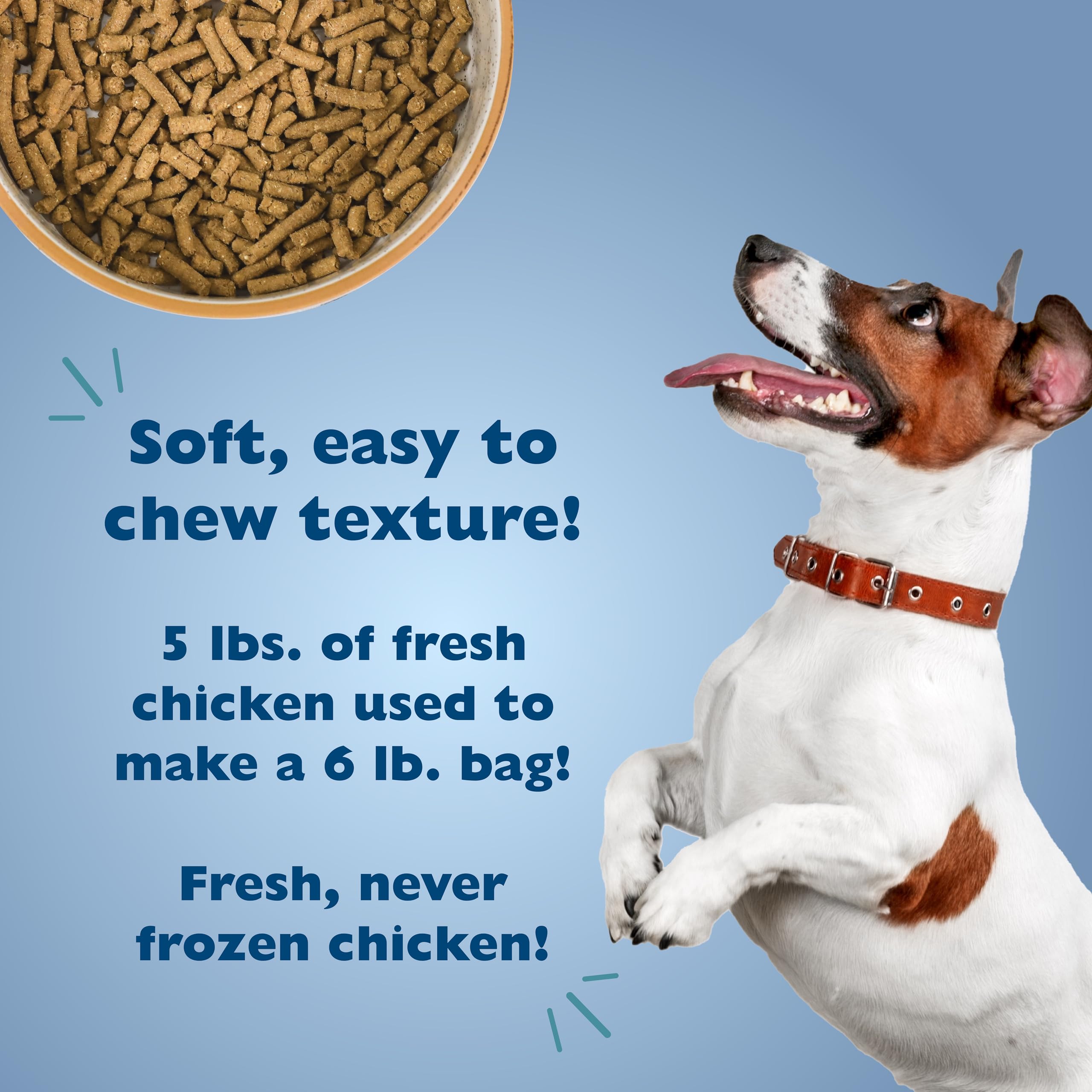 Bil-Jac small-breed spindle-pellets designed for tiny jaws and easy chewing.