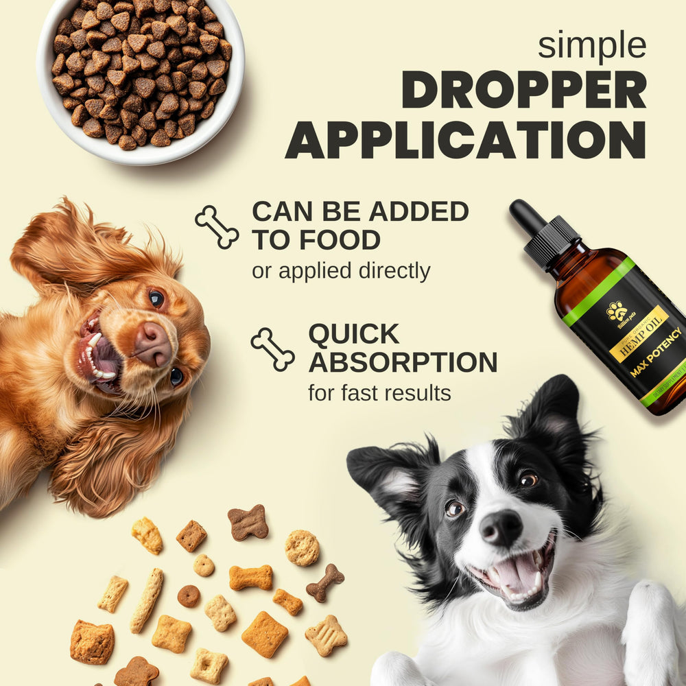 Billion Pets hemp oil promotes cat coat shine.