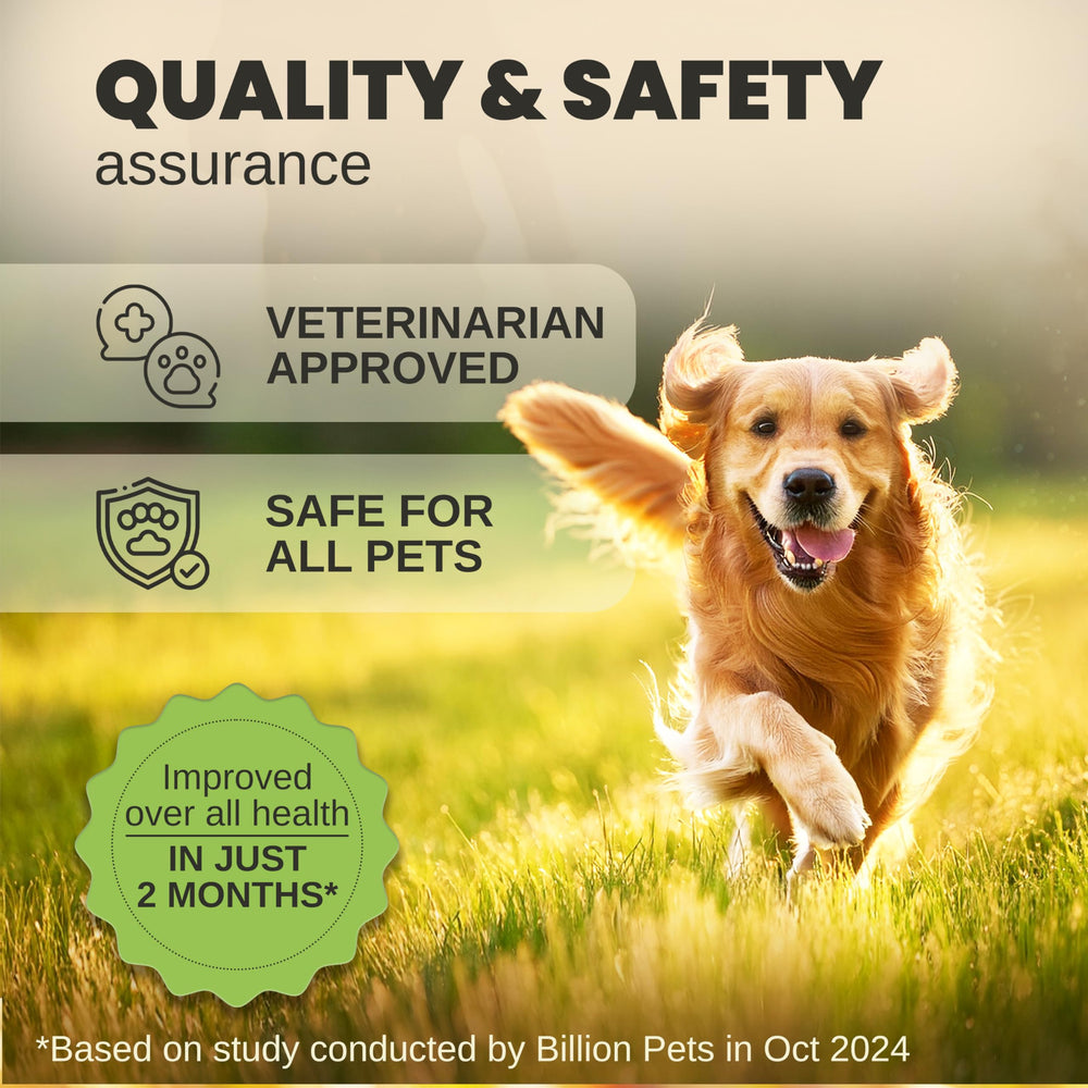 Billion Pets hemp oil is non-GMO and cruelty-free.