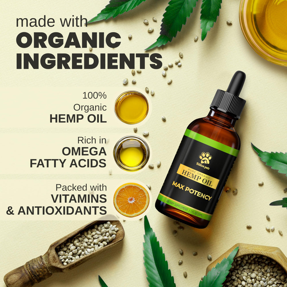 Billion Pets hemp oil in bowl easy to mix into meals.