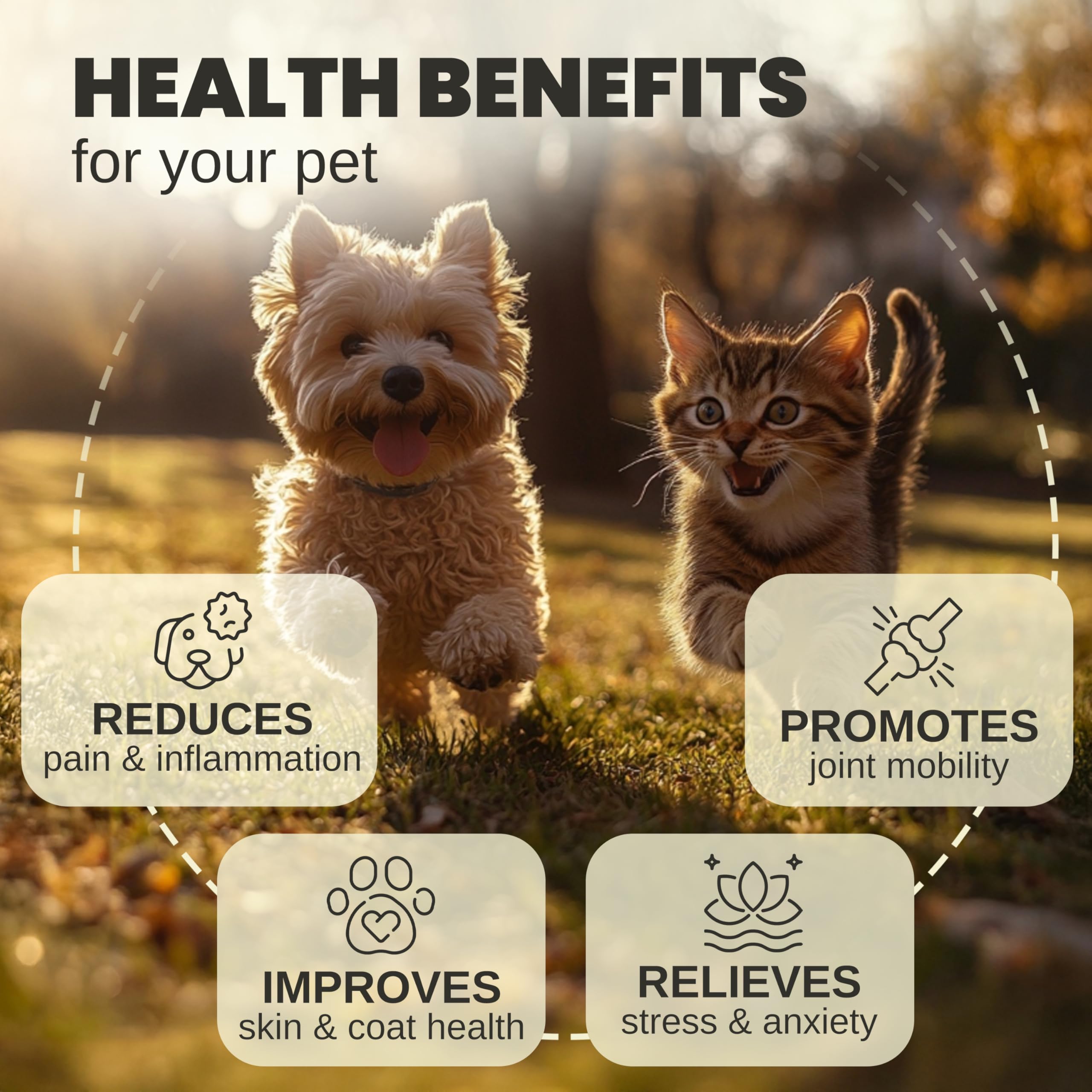 Billion Pets hemp oil dropper in use helps ease anxious pets.