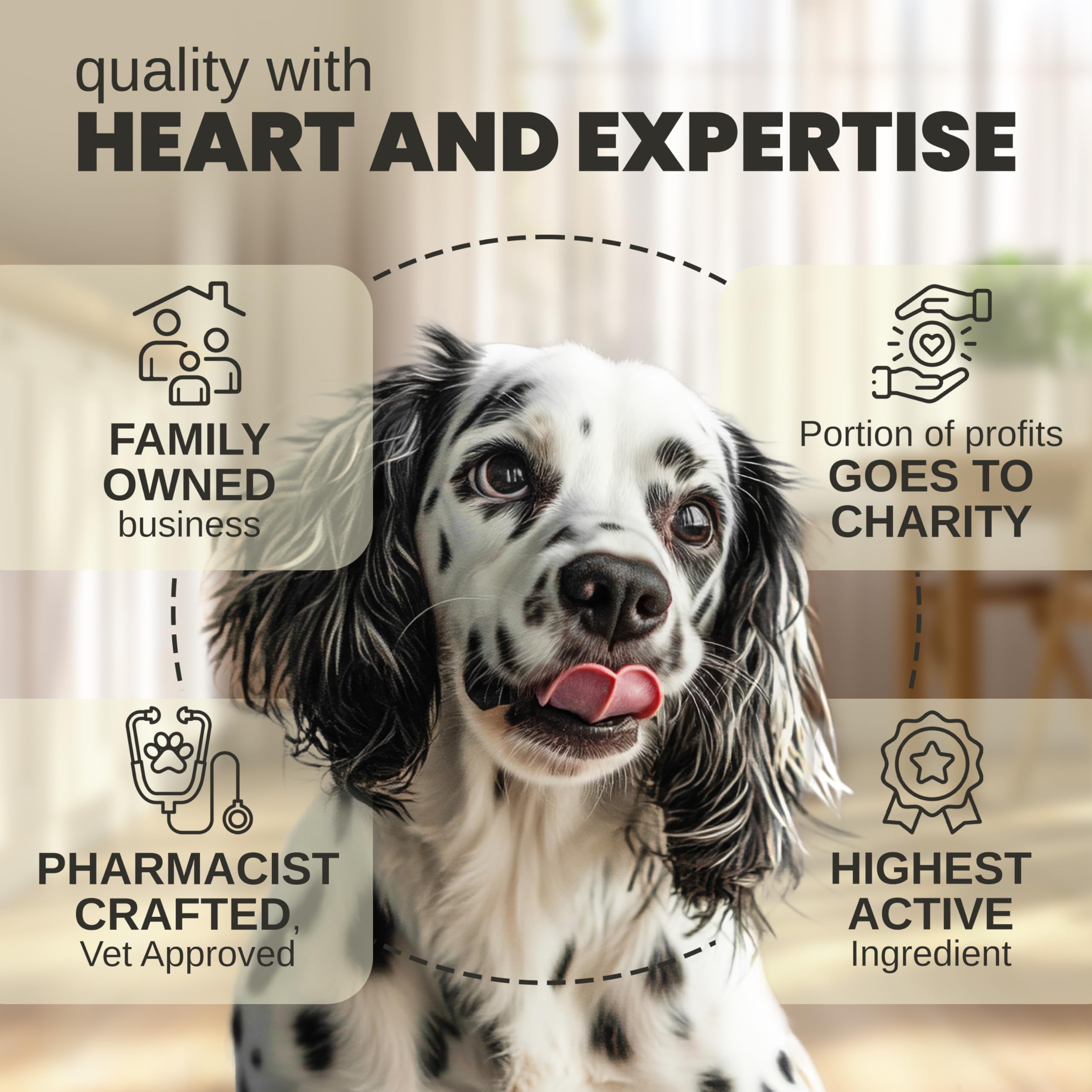 Billion Pets hemp oil drops added to food for easy administration.