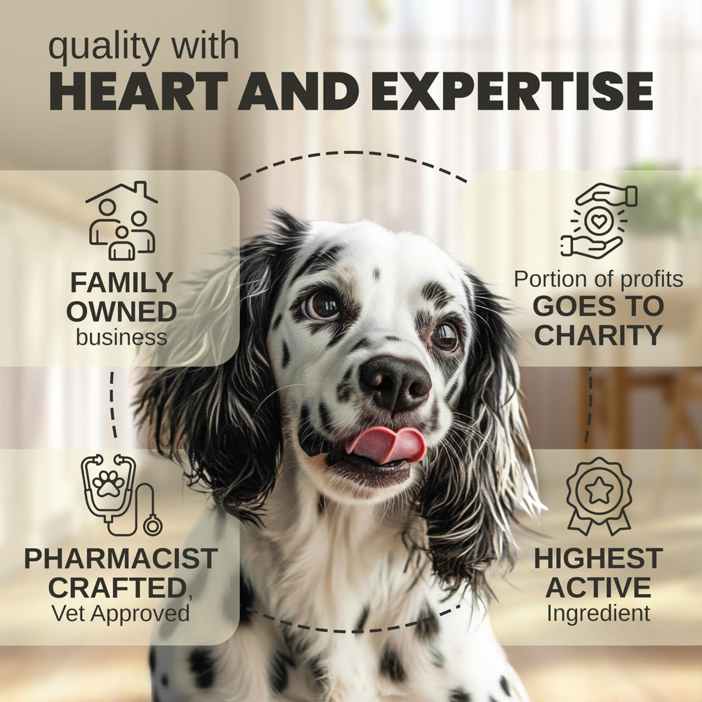 Billion Pets hemp oil drops added to food for easy administration.