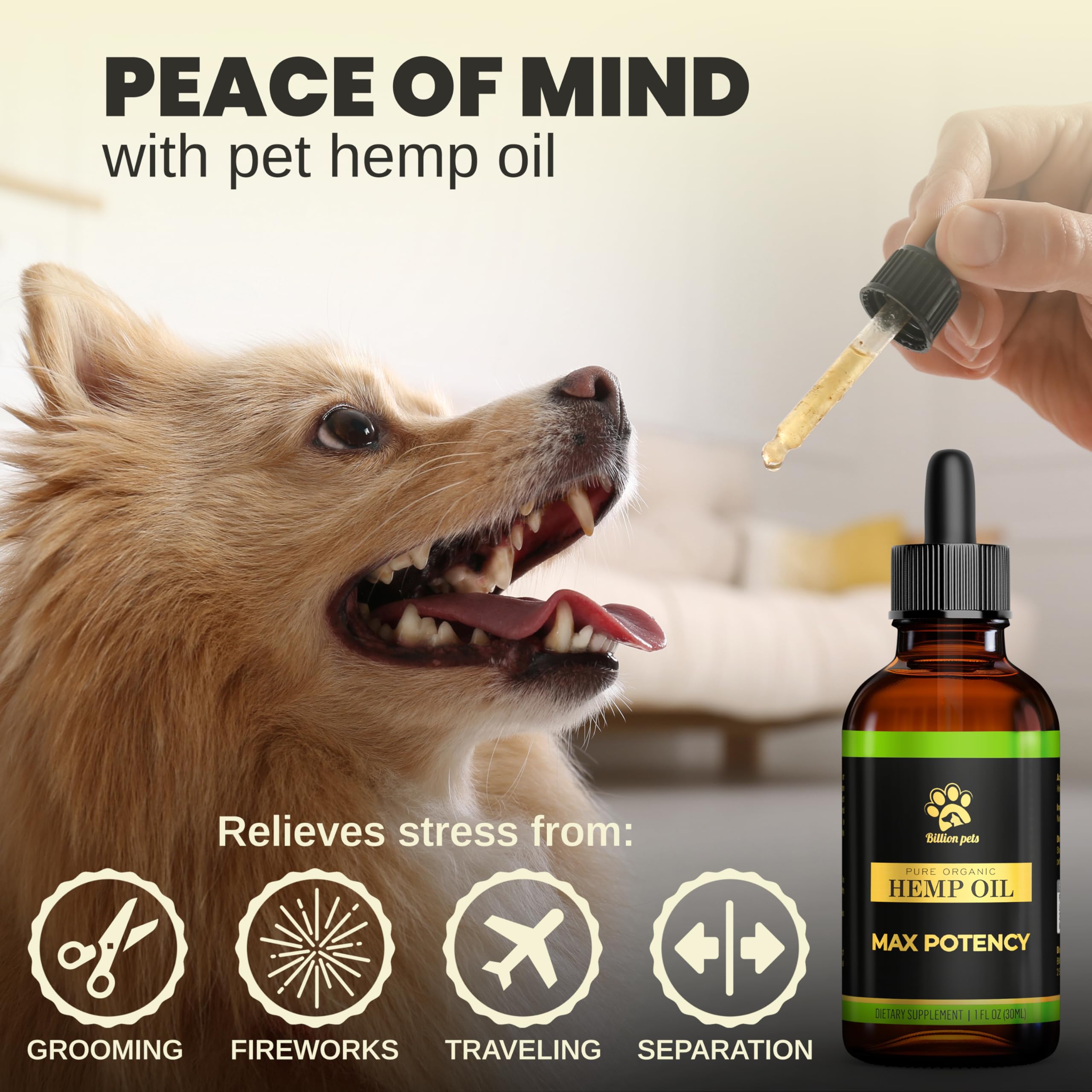 Billion Pets hemp oil helps calm a restless dog.