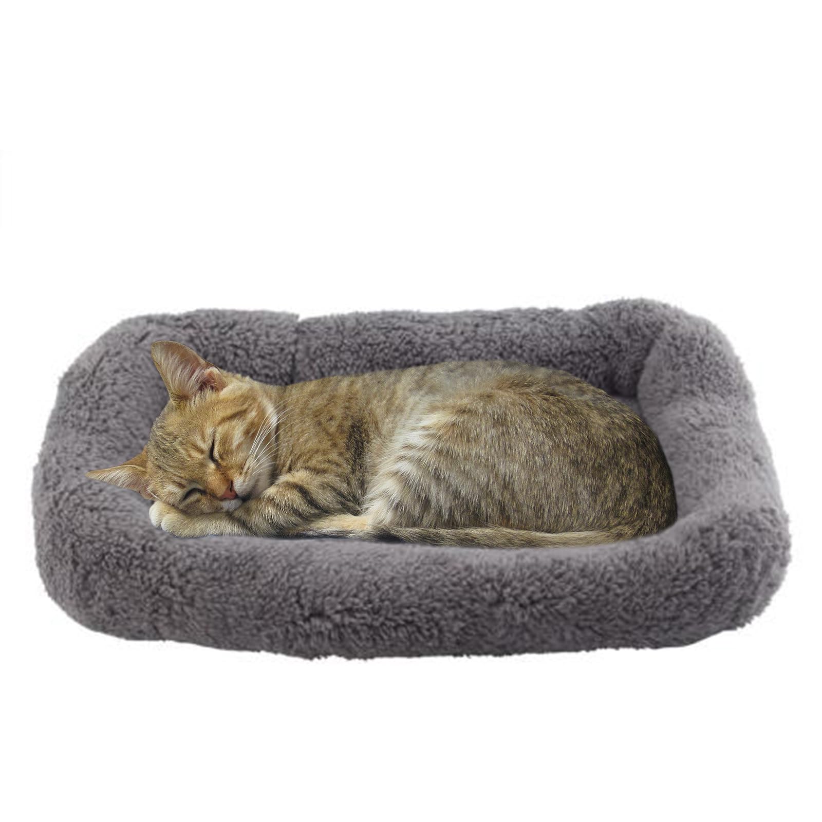 Billionchains small 15-inch cat bed for tiny cats.