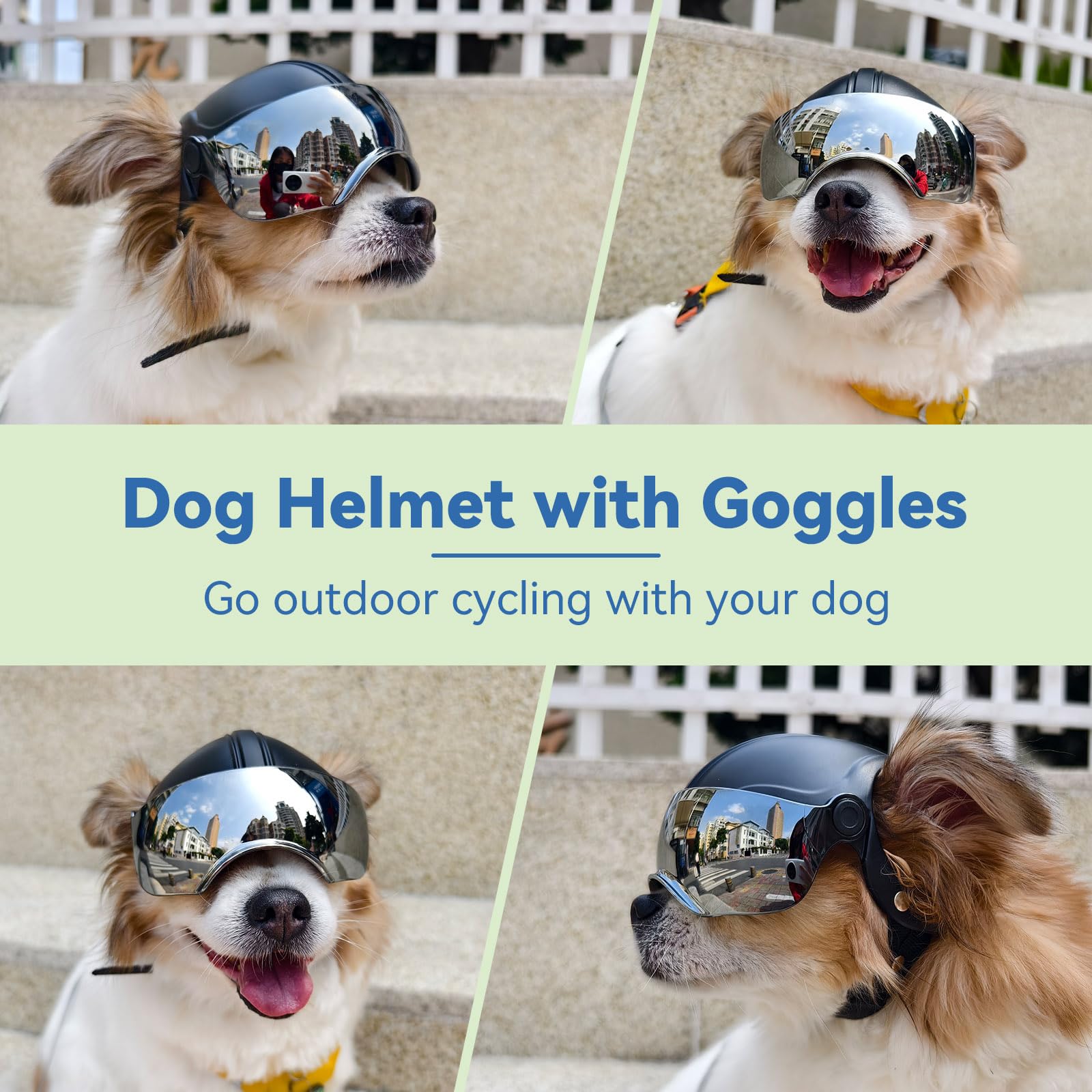 Billionchains dog helmet front view showing secure fit and sleek silhouette.