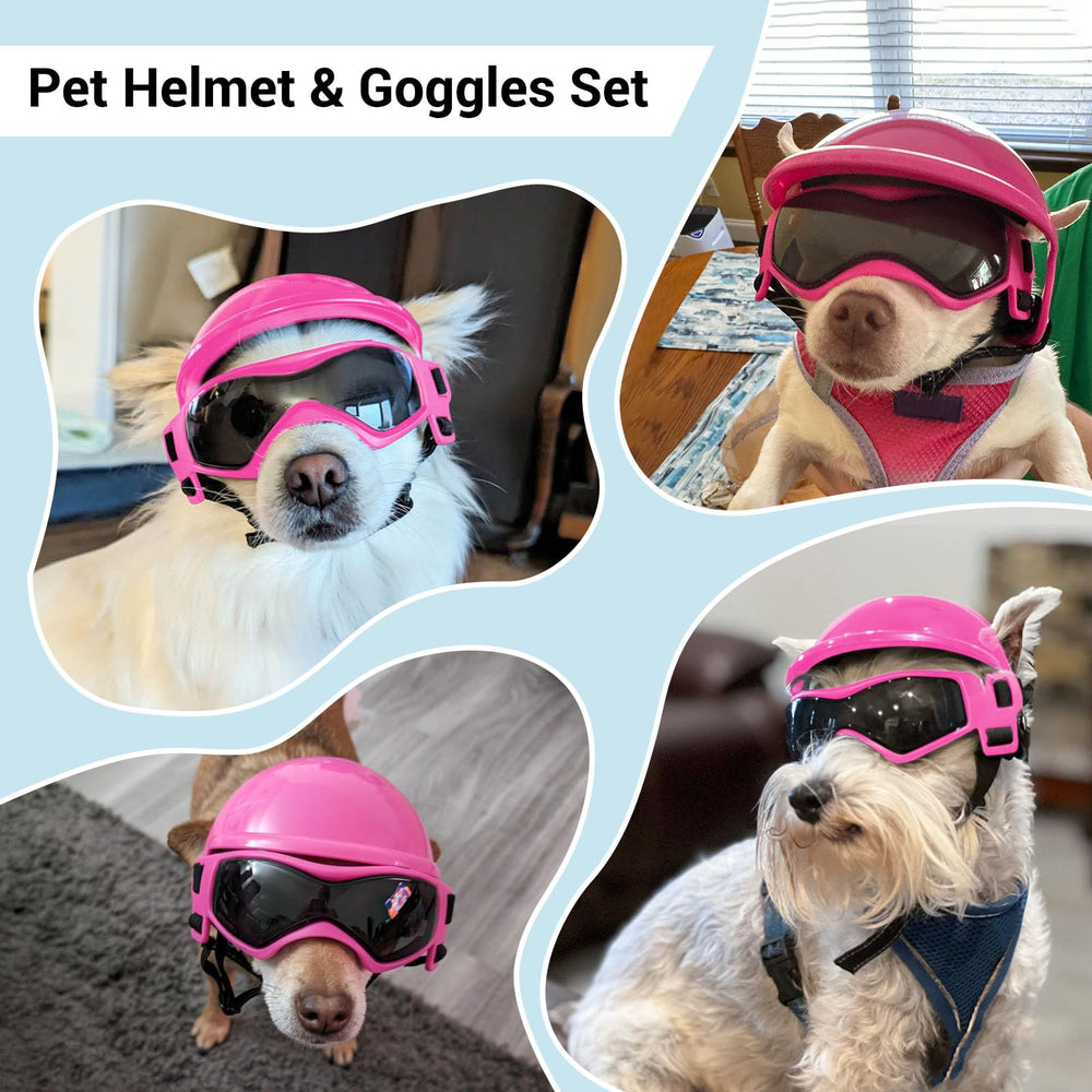 Small-dog helmet with ear holes keeps ears relaxed during riding
