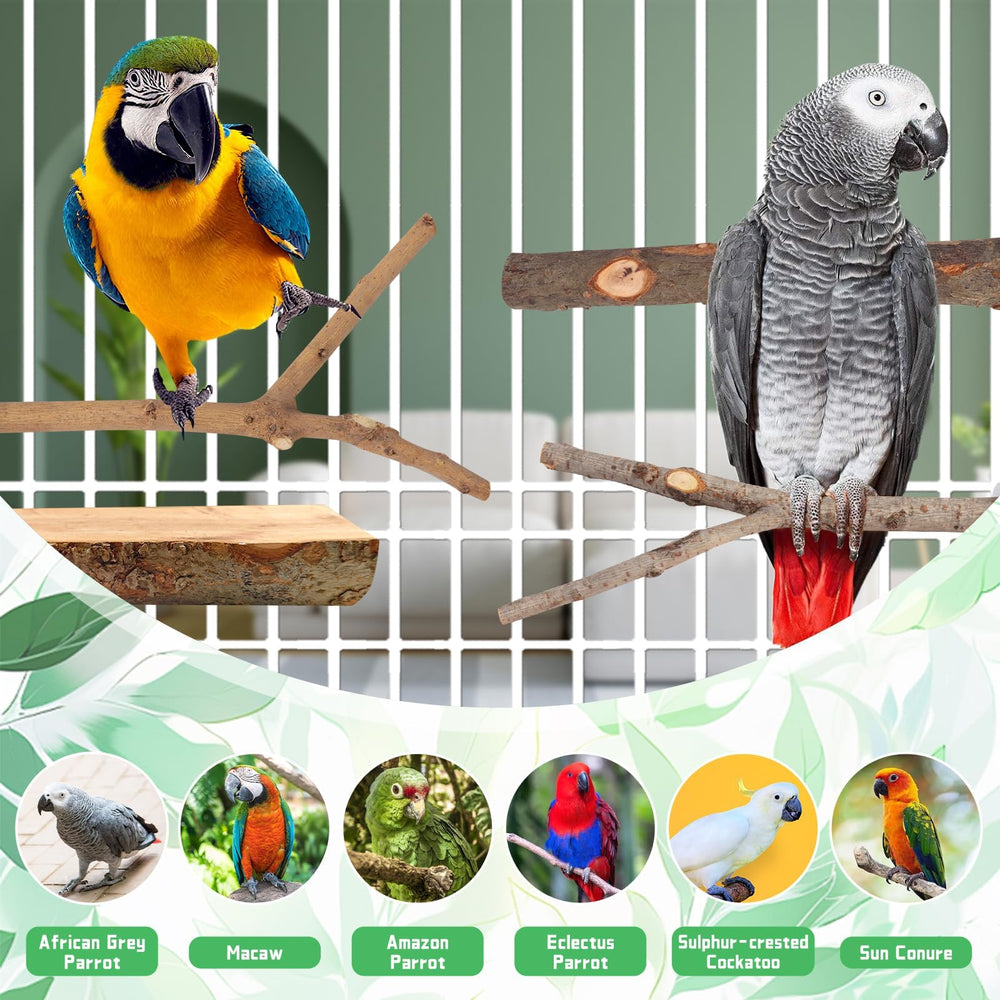 BILLIOTEAM 4-piece set offers versatile perching options