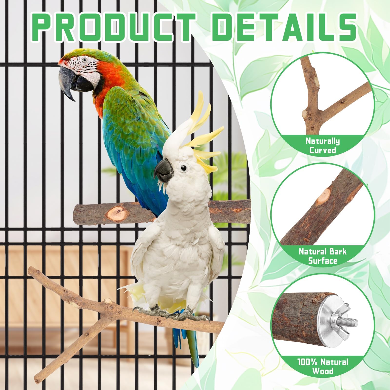 BILLIOTEAM natural forked branches encourage climbing and enrichment