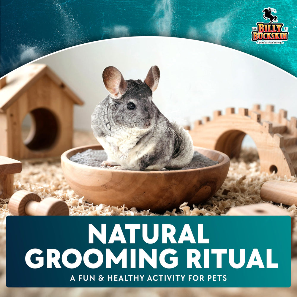 Veterinarian and groomer trusted for safe small-animal hygiene.