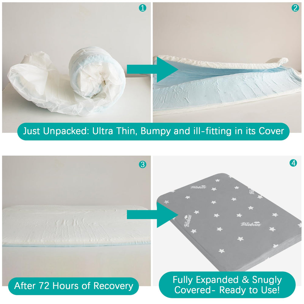 Biloban memory foam orthopedic core supports joints for large dogs.