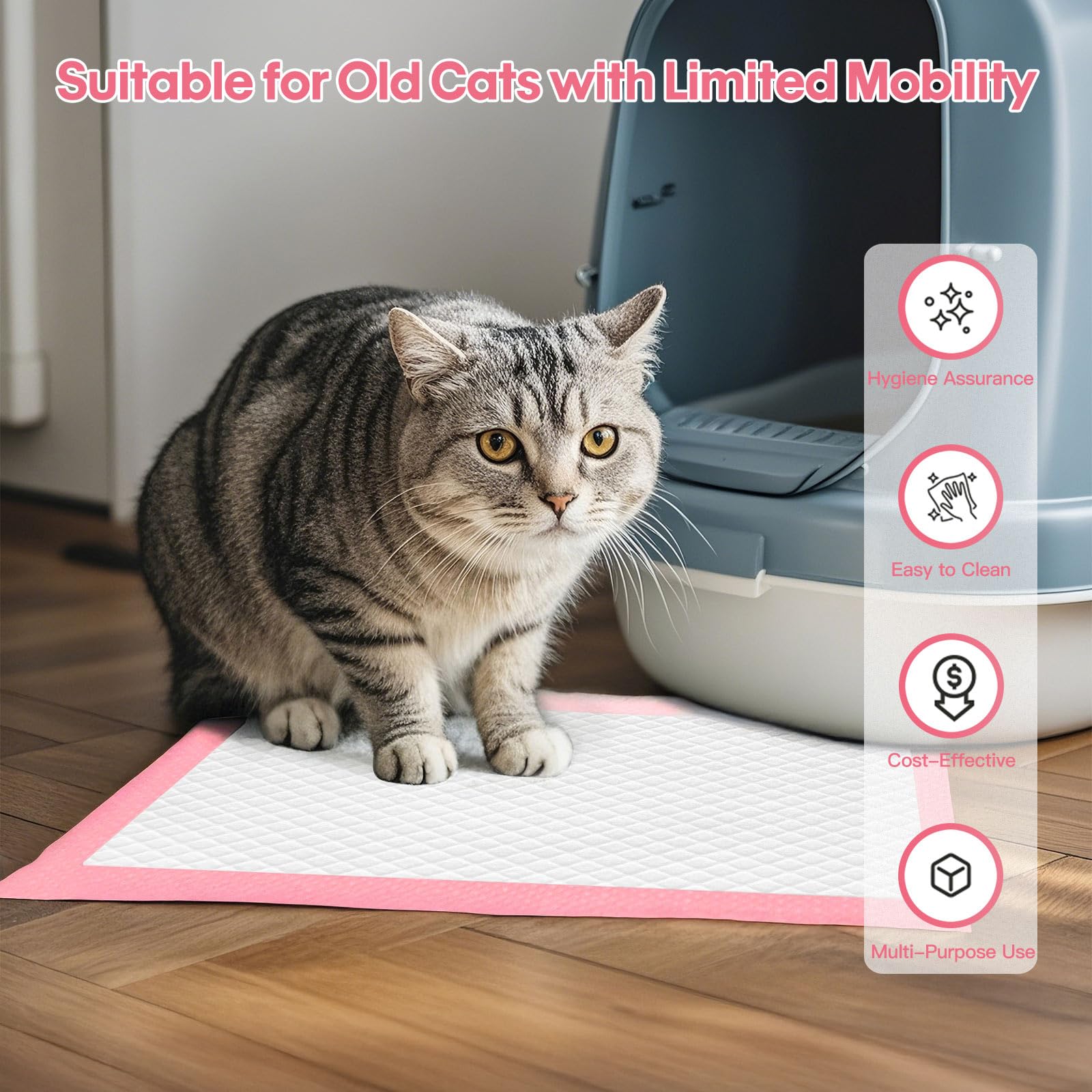 BinetGo quick-dry surface reduces mess during use