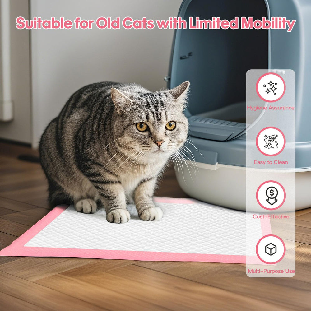 BinetGo quick-dry surface reduces mess during use