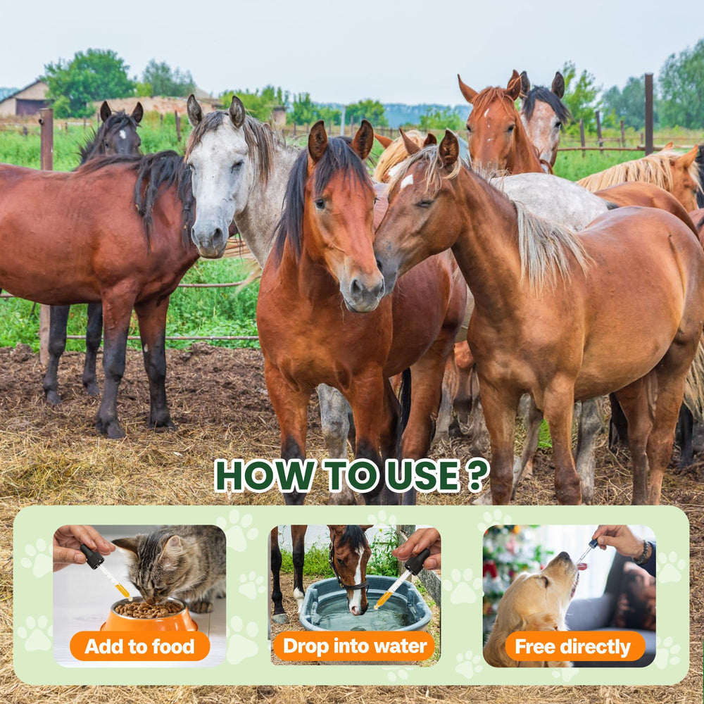 Bingbrofam dewormer dosing syringe demonstrates easy measurement.