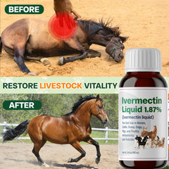 Bingbrofam dewormer ingredients highlight trusted ivermectin quality.