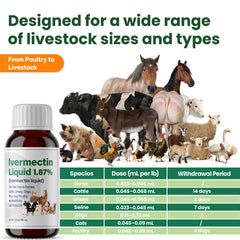 Bingbrofam dewormer packaging label highlights safety and accuracy.