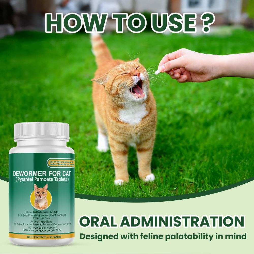 Bingbrofam oral administration friendly tablet design for cats and kittens.