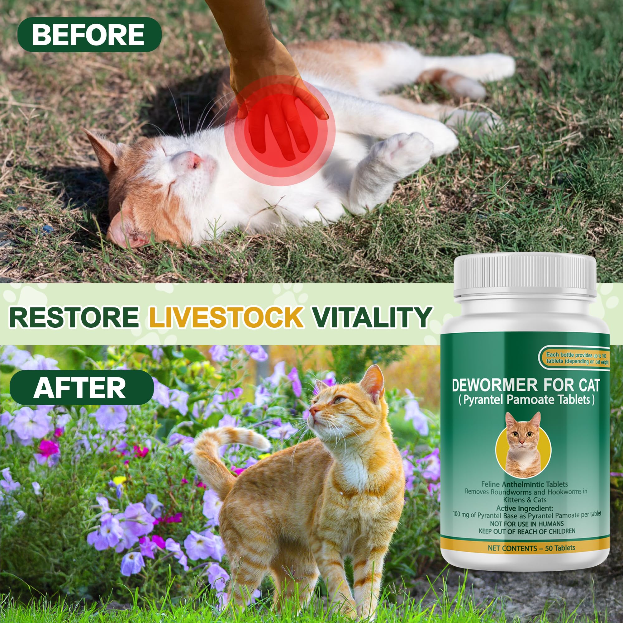 Bingbrofam pyrantel pamoate active ingredient supporting roundworm and hookworm control.