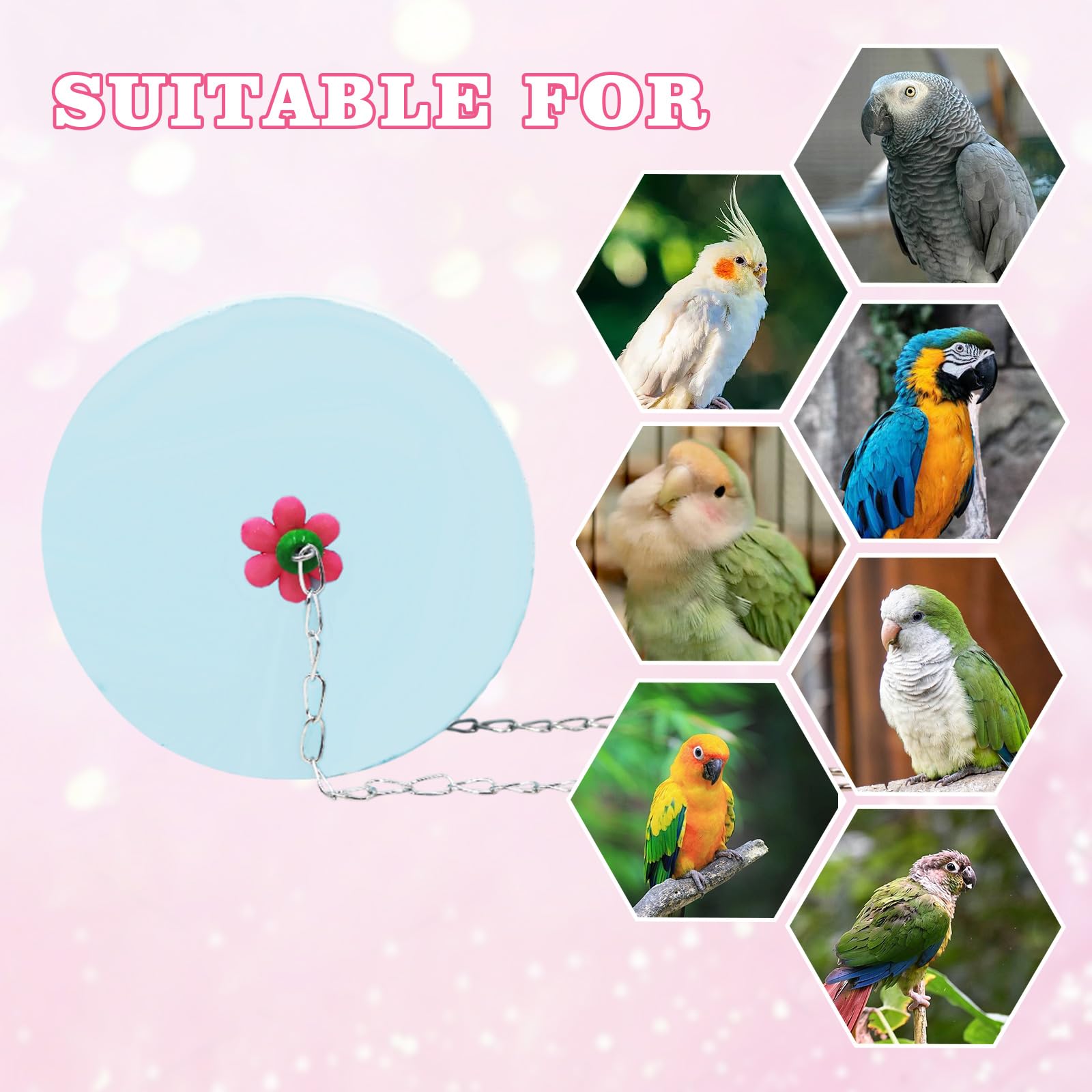 BingegePet blue cylinder toy provides a durable chewing surface.