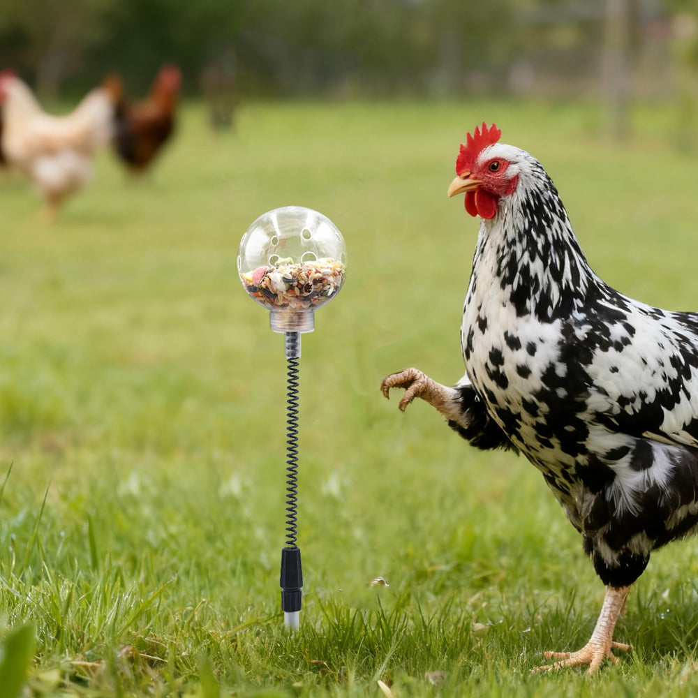 BingegePet soft spring option suits hens and smaller poultry