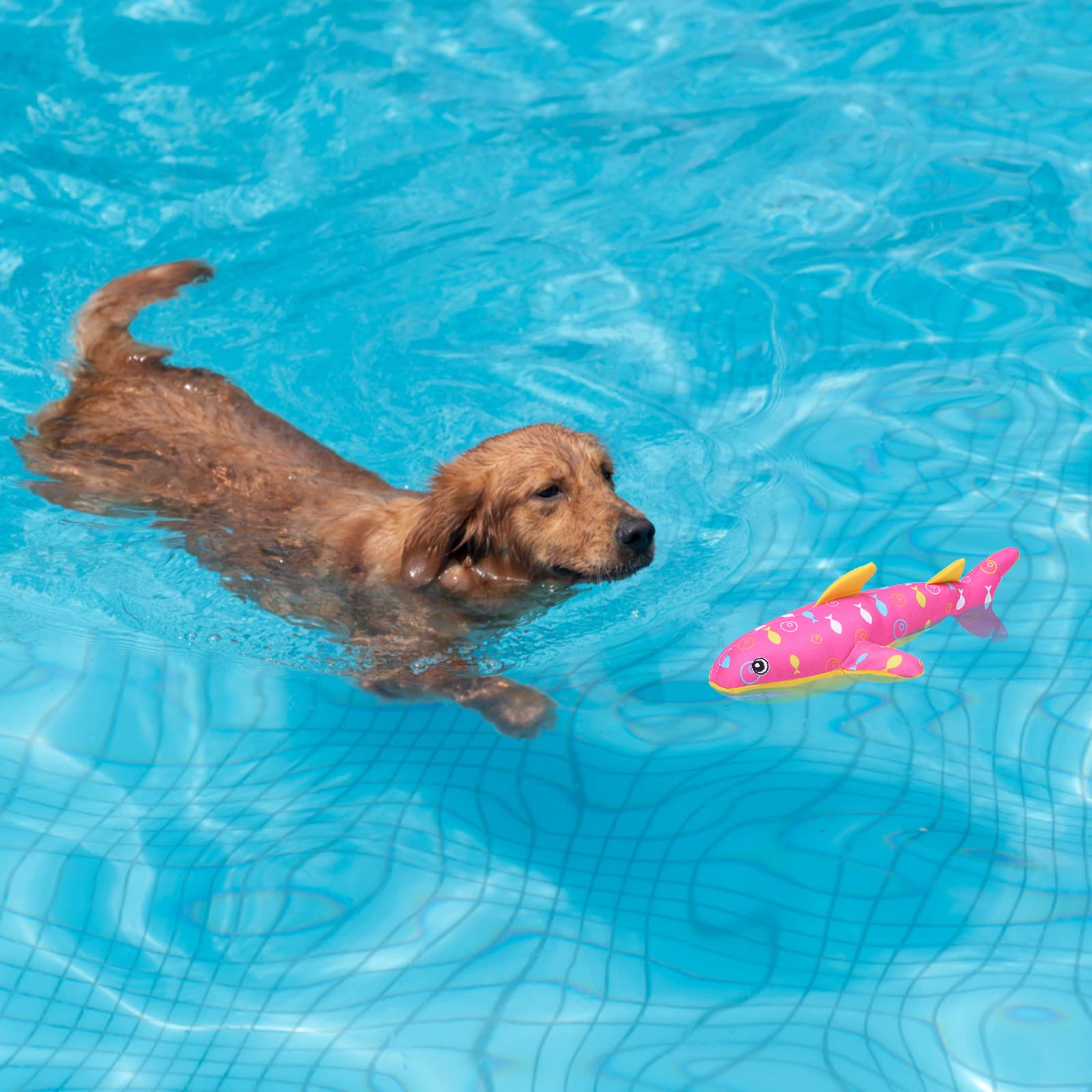 BINGPET two-pack shark toys provide double play opportunities for dogs.
