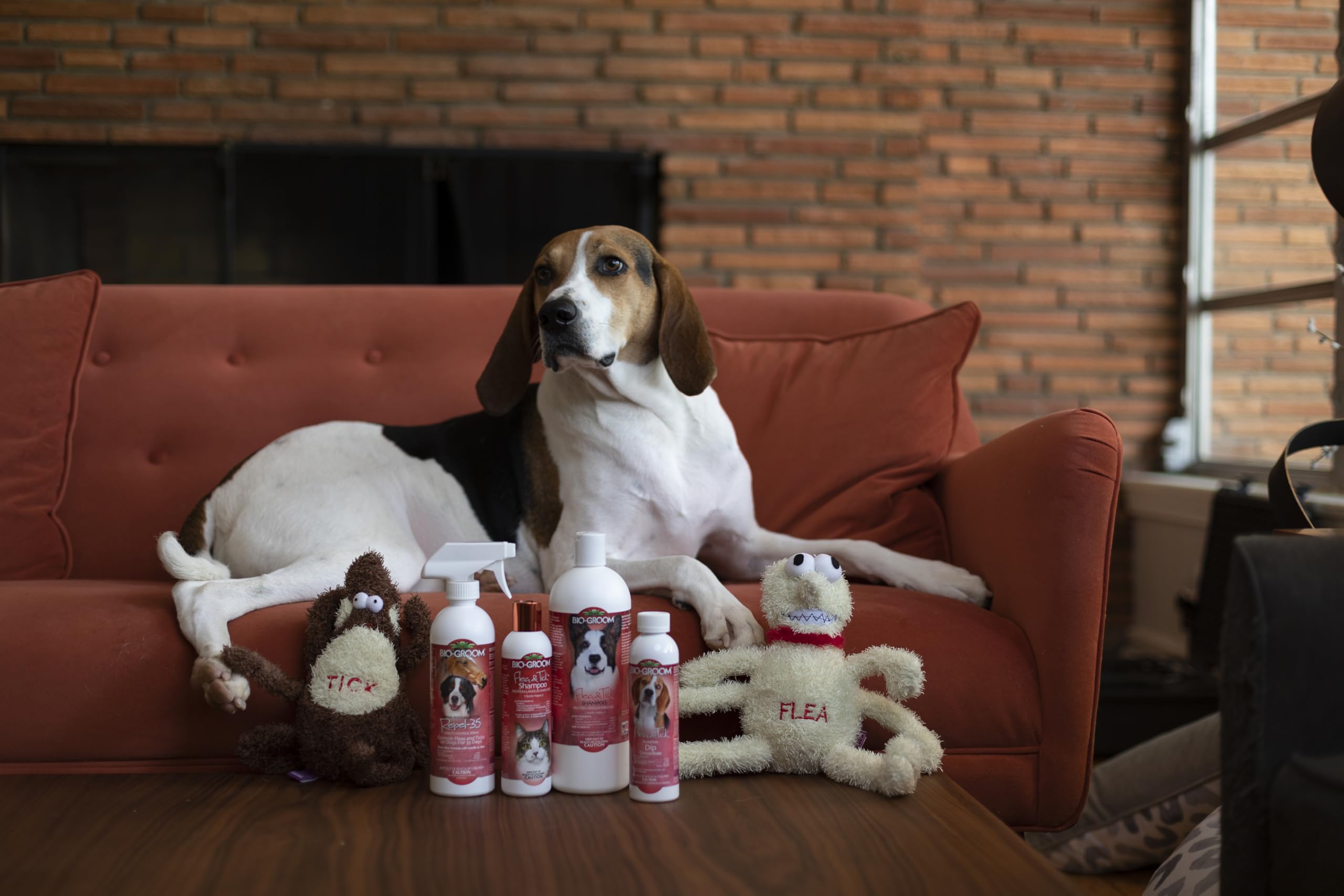 Bio-Groom Flea & Tick Shampoo coat hydration for shine and softness.