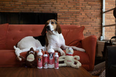 Bio-Groom Flea & Tick Shampoo coat hydration for shine and softness.