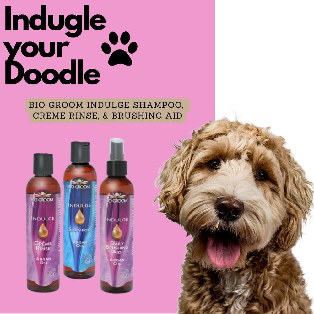 Bio-Groom Indulge Argan Oil conditioner made in USA for quality care