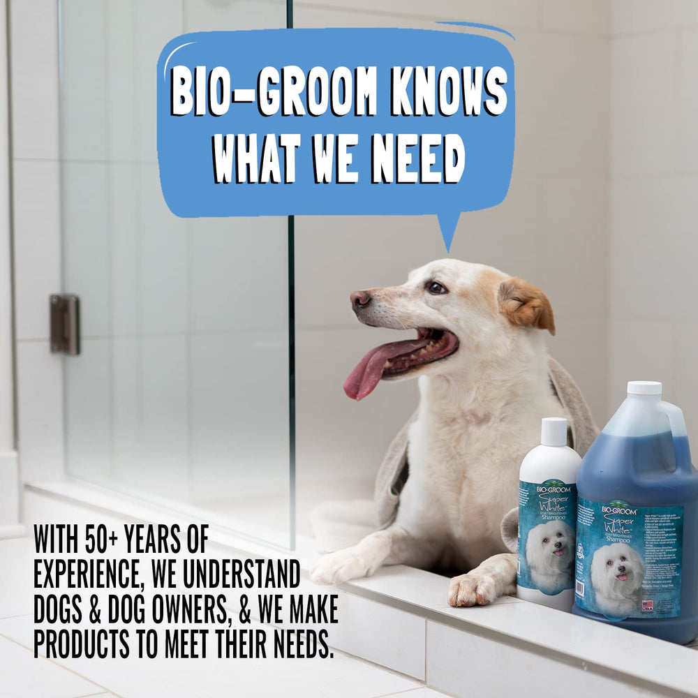 Bio-Groom Oatmeal Dog Shampoo bottle in grooming setup showing allergy-friendly care.