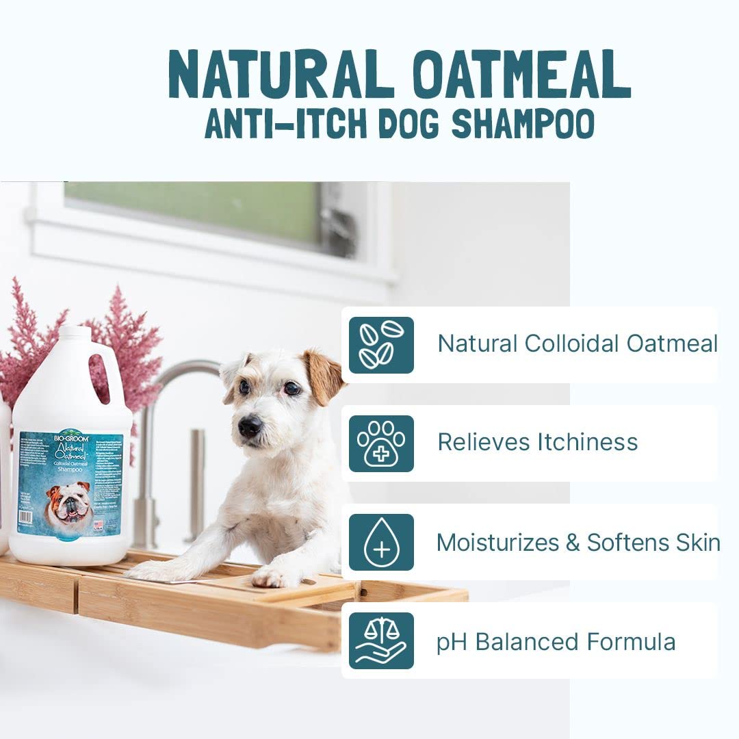 Bio-Groom Oatmeal Dog Shampoo ingredients list highlighting colloidal oatmeal.