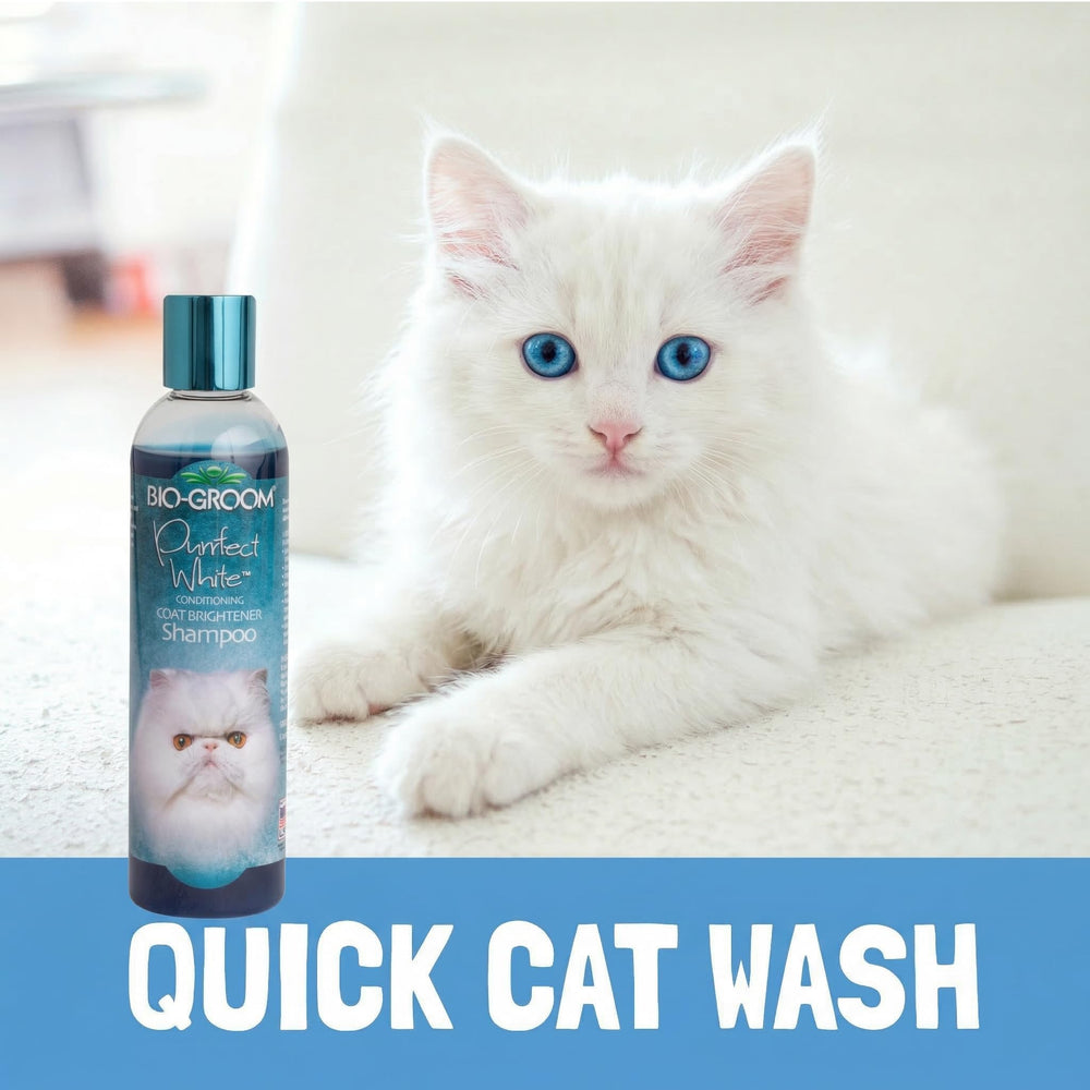 Bio-groom Purrfect White Shampoo kitten-safe formula for gentle grooming