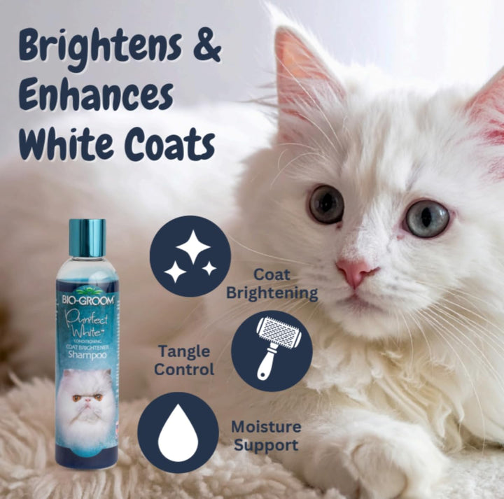 Bio-groom Purrfect White Shampoo lather brightens white coats with a healthy shine