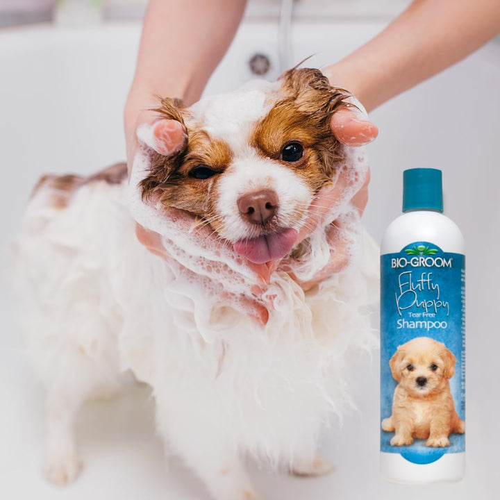 Bio-Groom tearless puppy shampoo pour demonstrates quick rinse and easy lather.