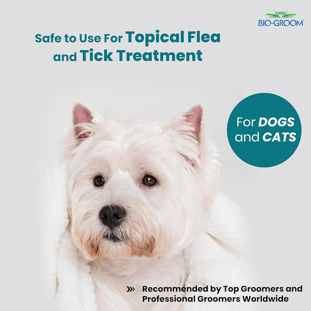 Bio-Groom Waterless Dog Shampoo coat shine after spray application.