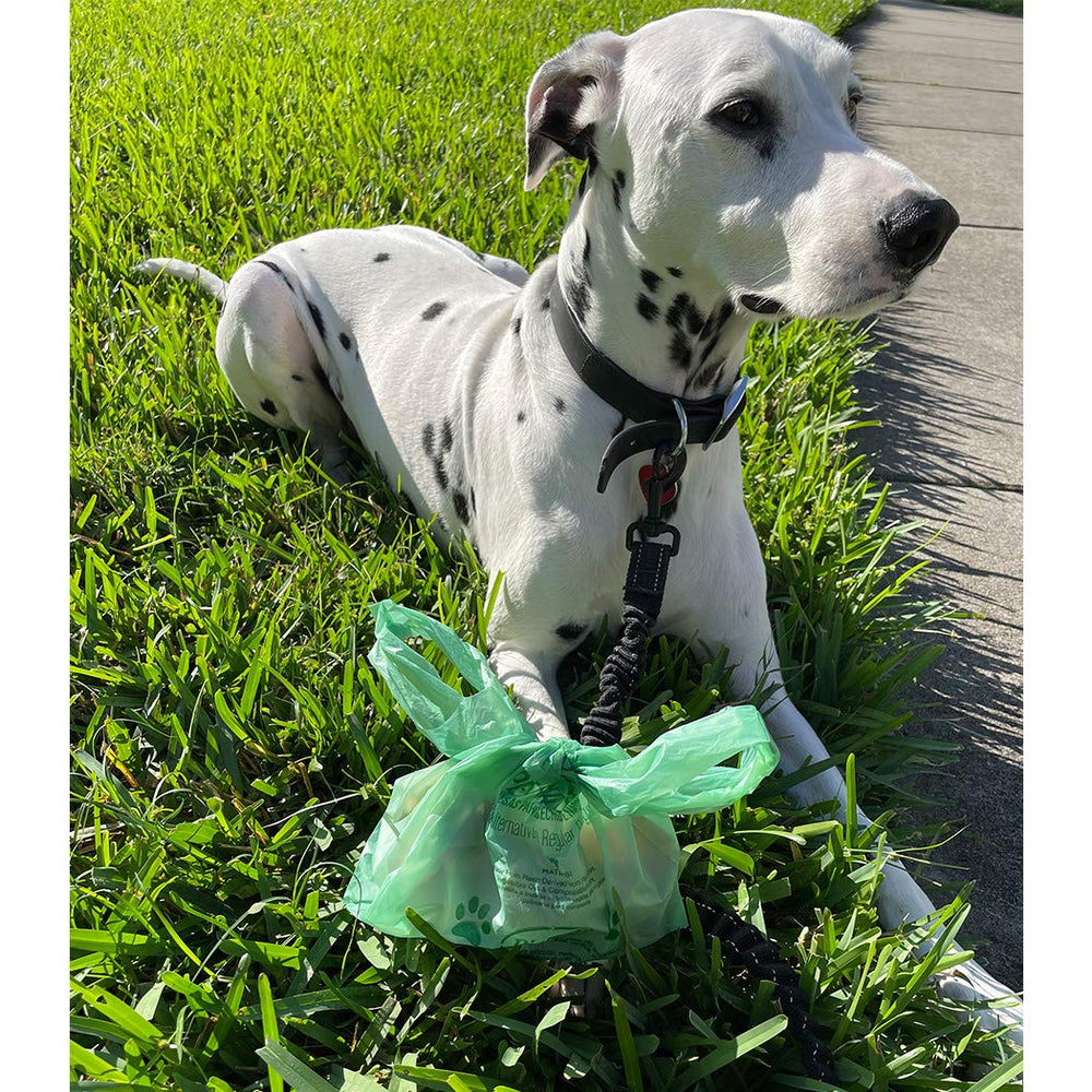 BioBag 150-count pack for use on parks, walks, and multi-dog households