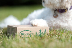 Biobag Eco-resin bags made from plant-based materials for greener waste management.