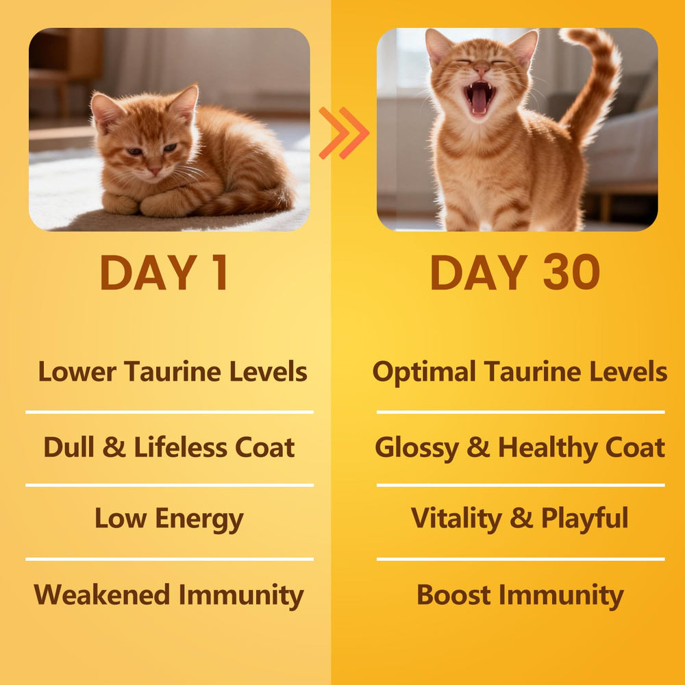 BioBiopaw Taurine powder blends with dry food for flexibility