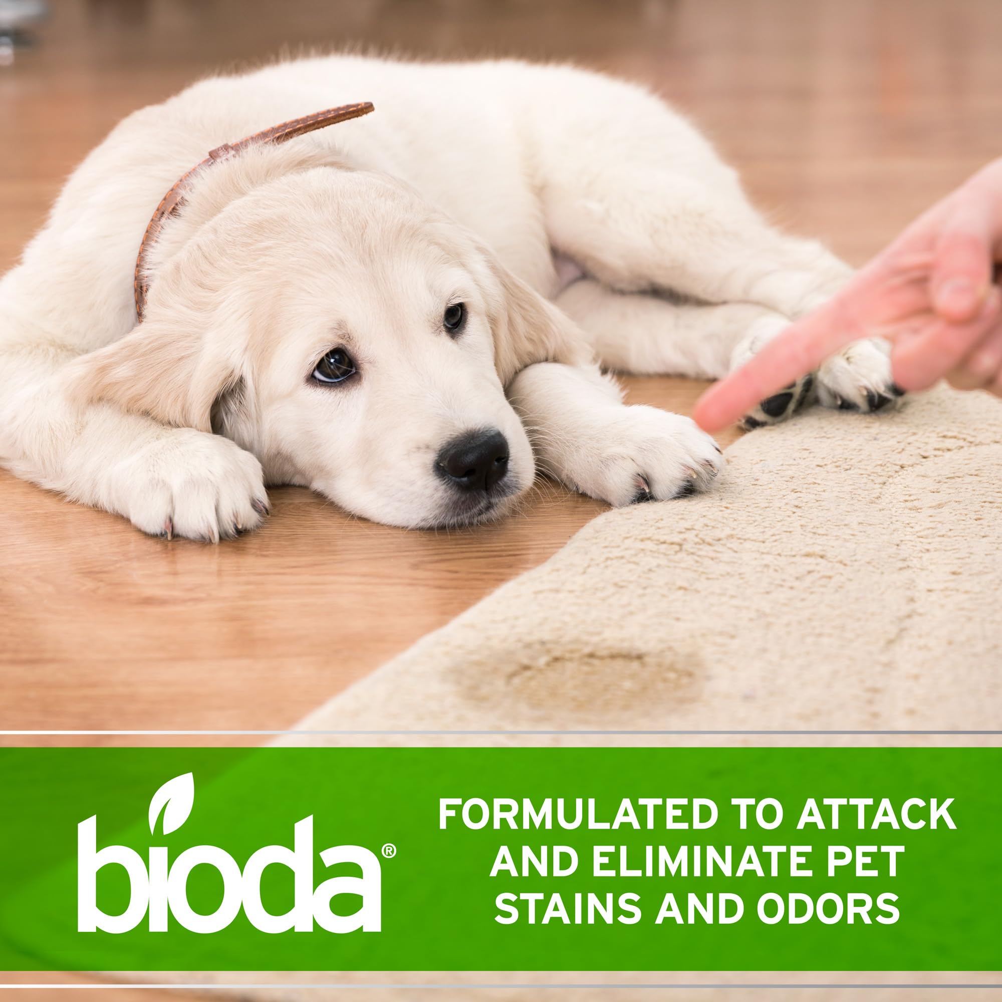 Bioda deep-clean for carpet padding to address embedded odors.