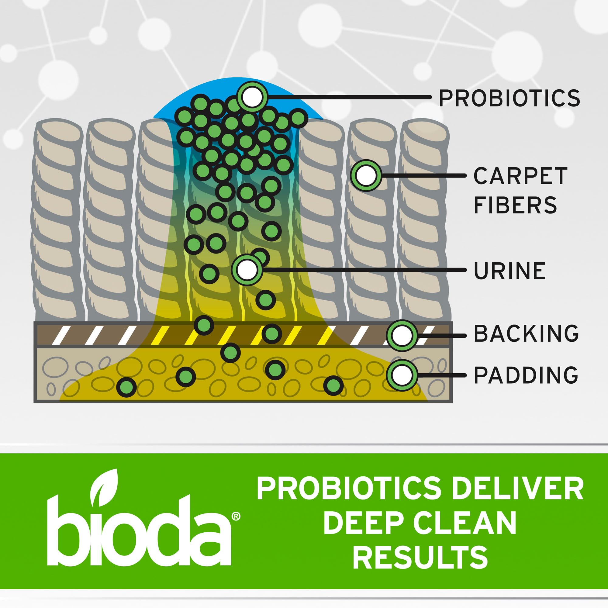 Bioda cleaner removing carpet stains and odors from fibers