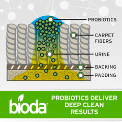 Bioda cleaner removing carpet stains and odors from fibers
