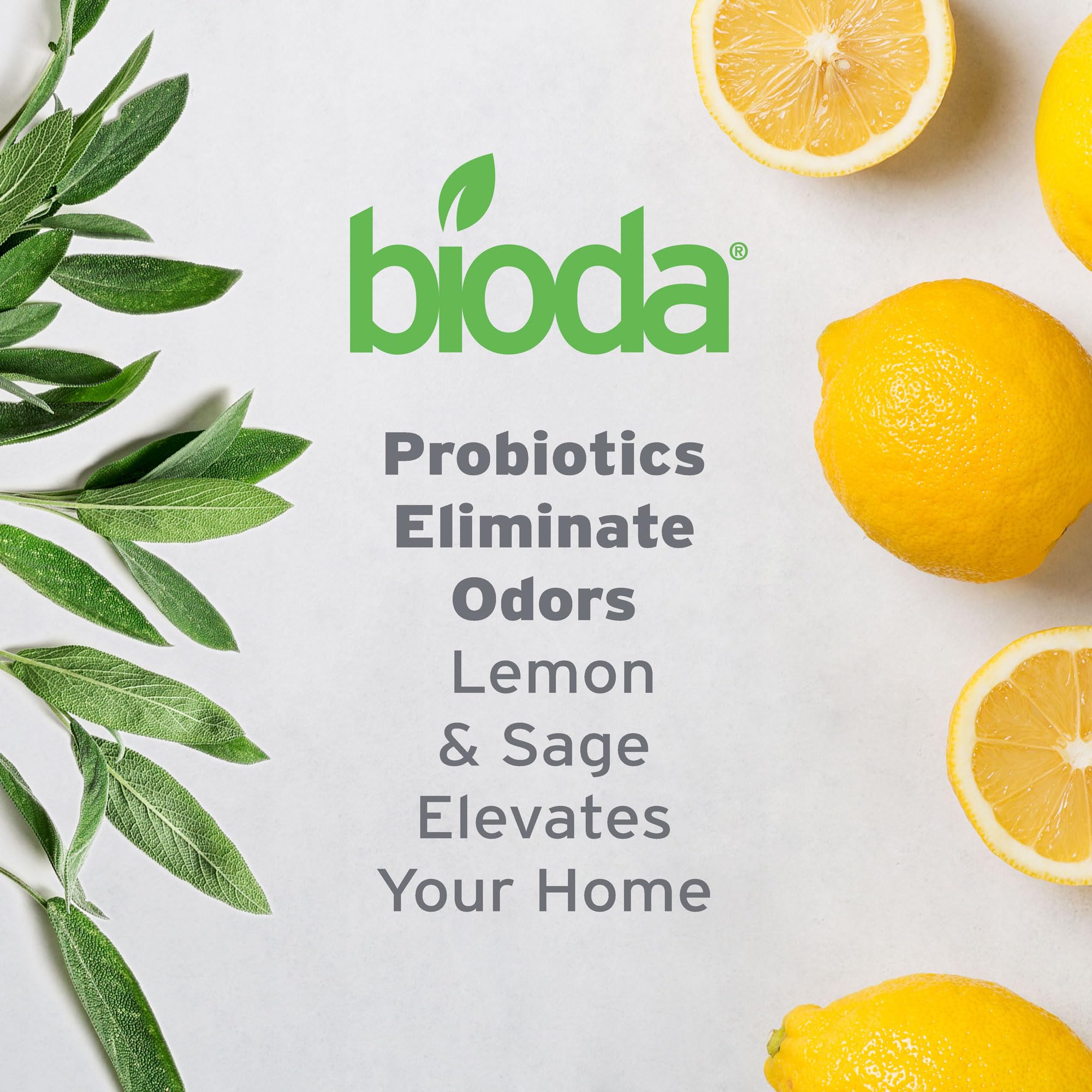 Bioda formula safe on carpets, wood, tile and more surfaces