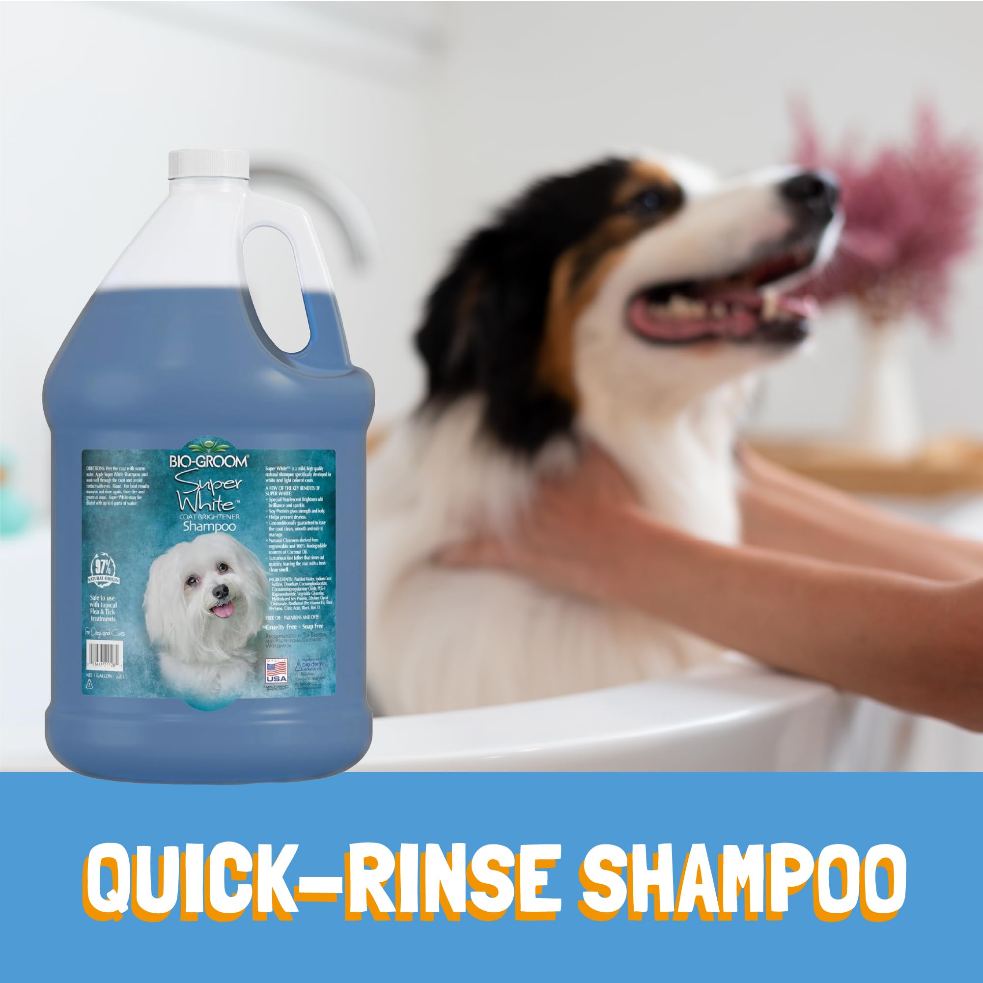 Bio-Groom Super Whitening Dog Shampoo lather on wet fur for even coverage